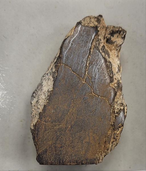 Stoney Meteorite - 021 NWA 2965 (Standing Meteorite)