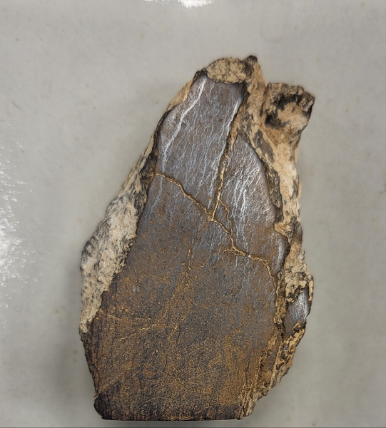 Stoney Meteorite - 021 NWA 2965 (Standing Meteorite)