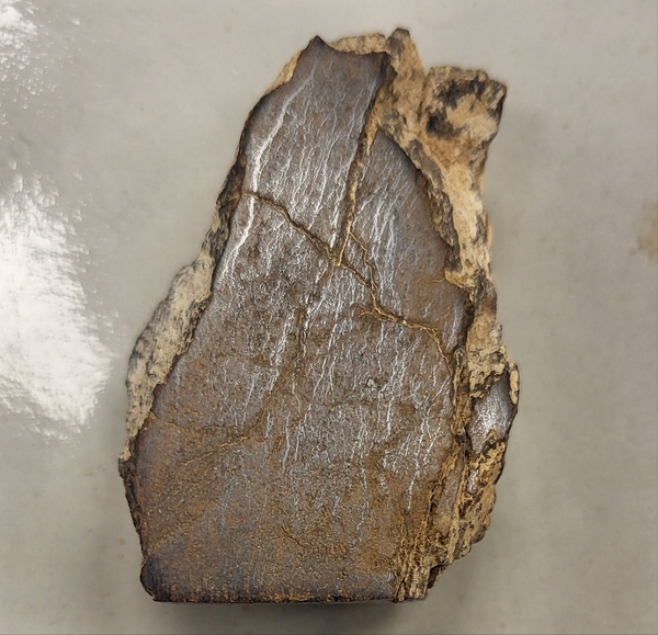 Stoney Meteorite - 021 NWA 2965 (Standing Meteorite)