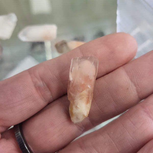 Angel Phantom Quartz