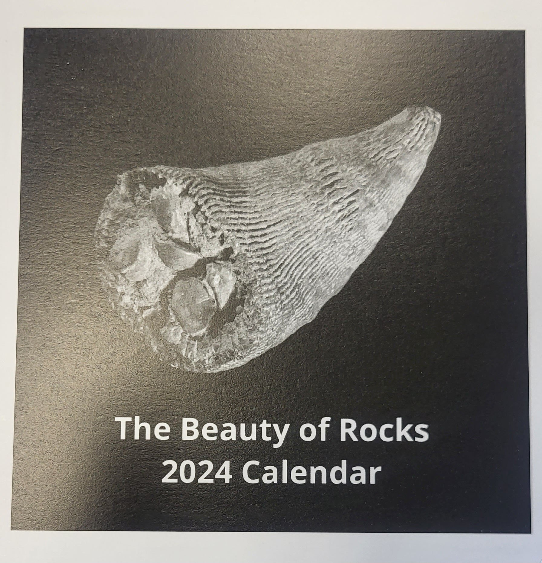 The Beauty Of Rocks Calendar 2024