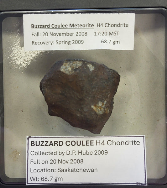 Stoney Meteorite - 001  (Buzzard Coulee)