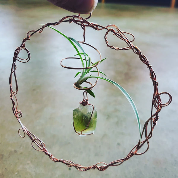 Crystal Plant Hanger