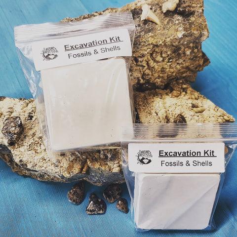 Excavation Kit