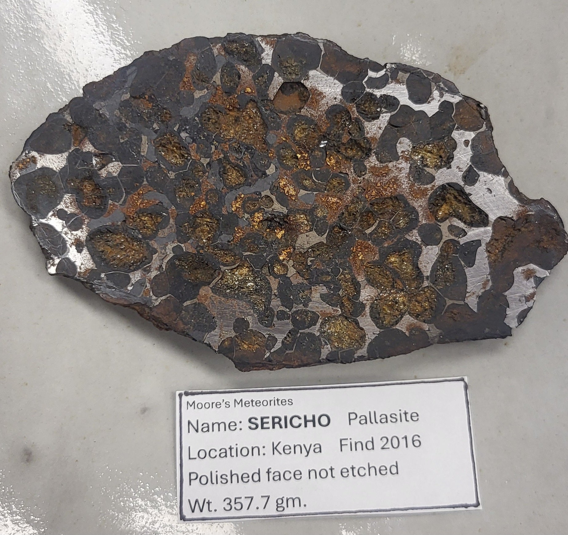 Stony-Iron Meteorite - 002 (Sericho)