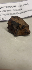 Iron Meteorite - 010 (Whitecourt)