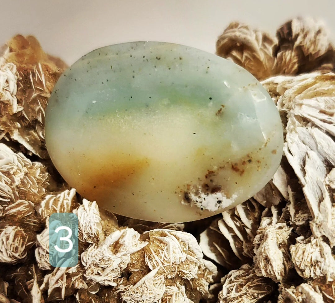 BC Ocean Jasper