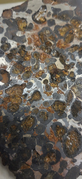 Stony-Iron Meteorite - 002 (Sericho)