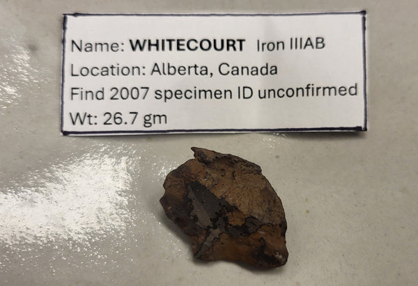 Iron Meteorite - 010 (Whitecourt)