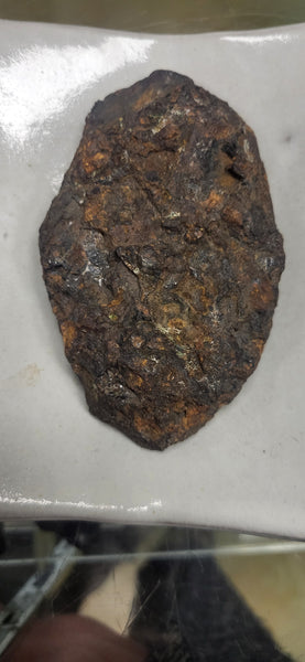 Stony-Iron Meteorite - 002 (Sericho)