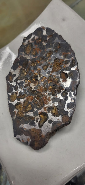 Stony-Iron Meteorite - 002 (Sericho)
