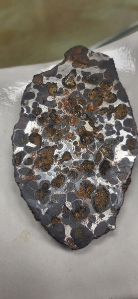 Stony-Iron Meteorite - 002 (Sericho)